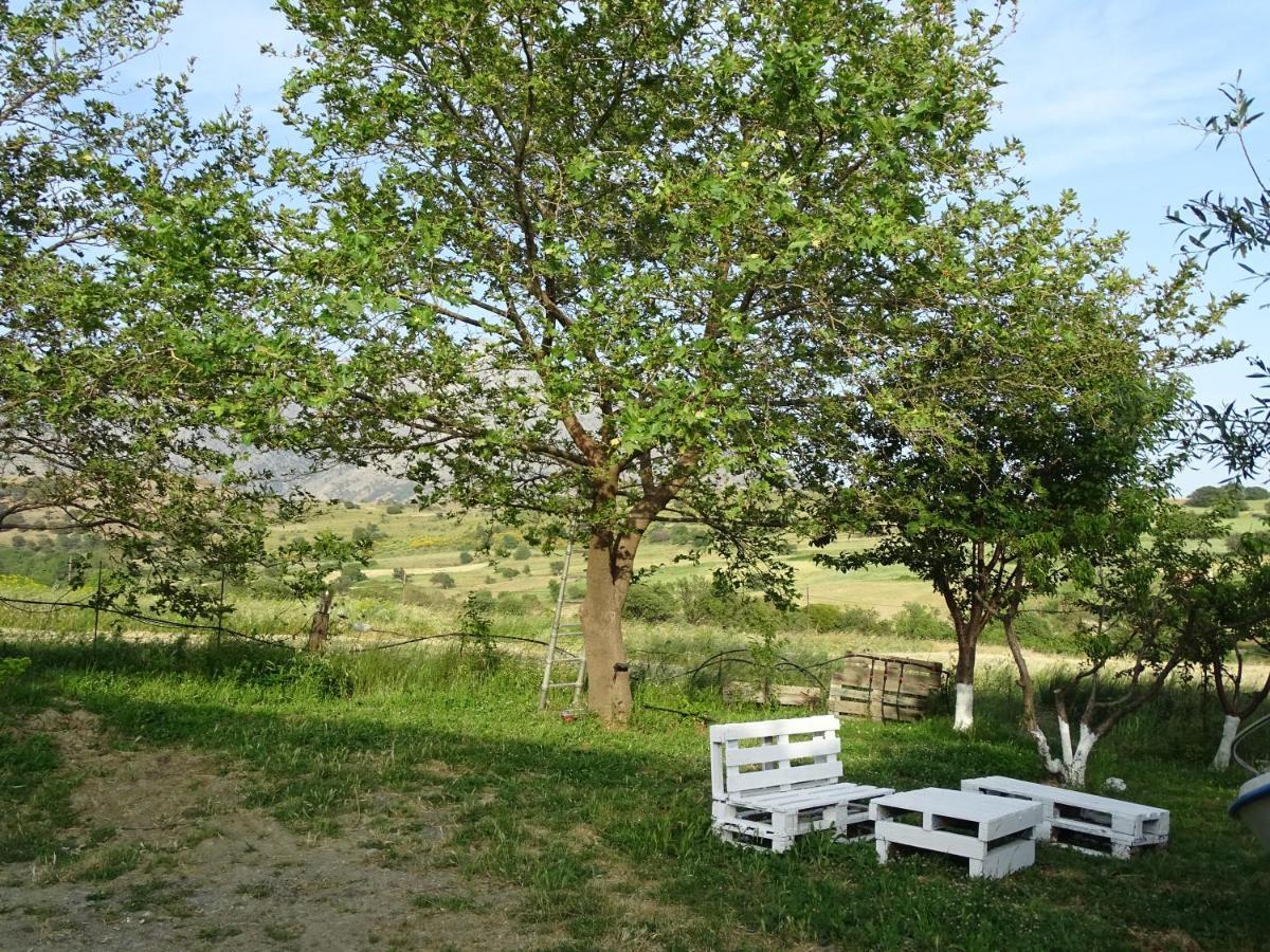 Melenios Houses Samothraki Exterior photo