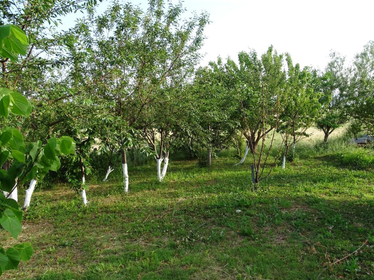 Melenios Houses Samothraki Exterior photo