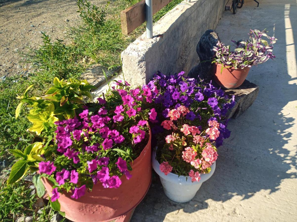 Melenios Houses Samothraki Exterior photo